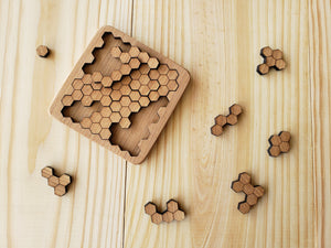 Honeycomb Puzzle